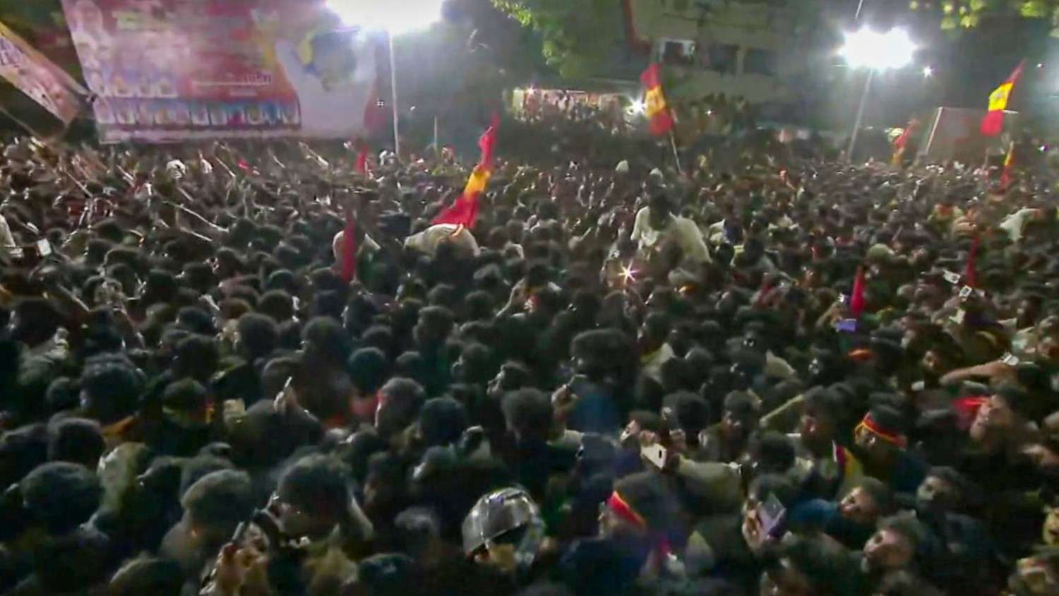 Stampede in Rally