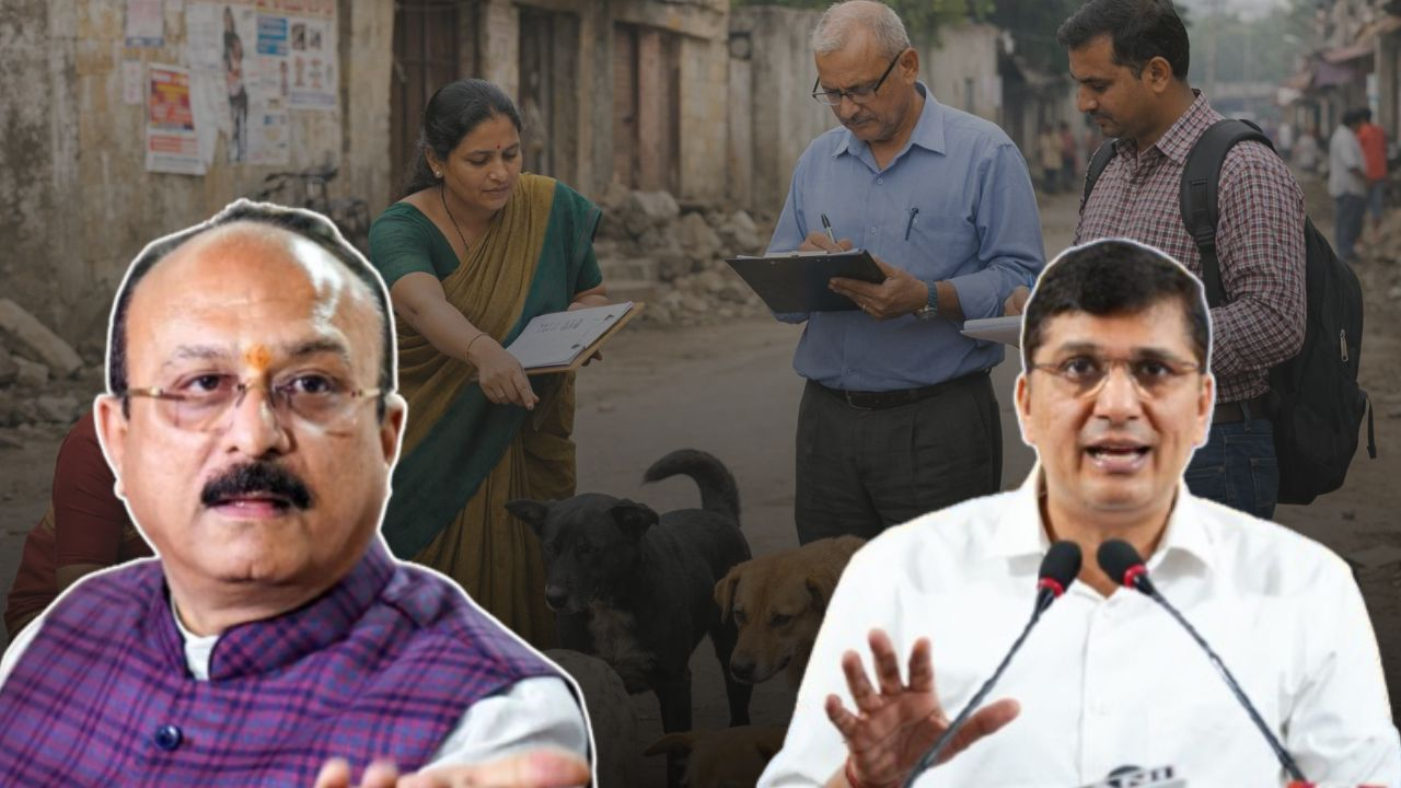 delhi dog counting controversy