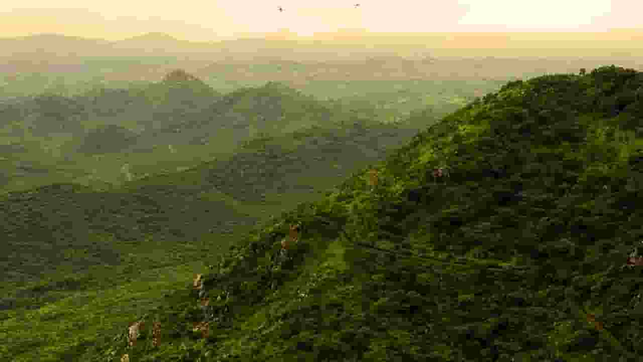 Aravalli Range

