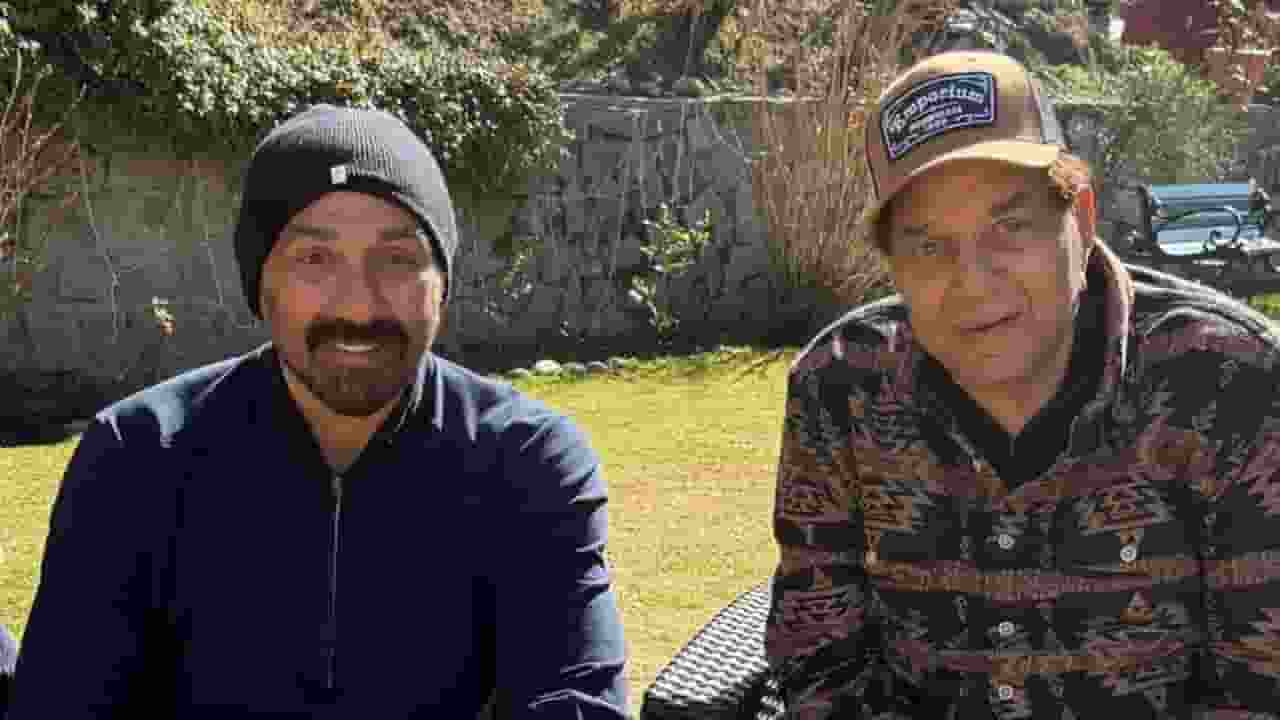 sunny and dharmendra