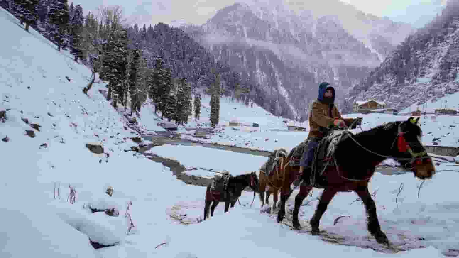 Snowfall in Sonmarg