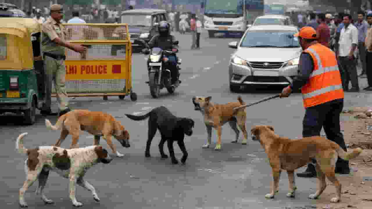 Representational Picture